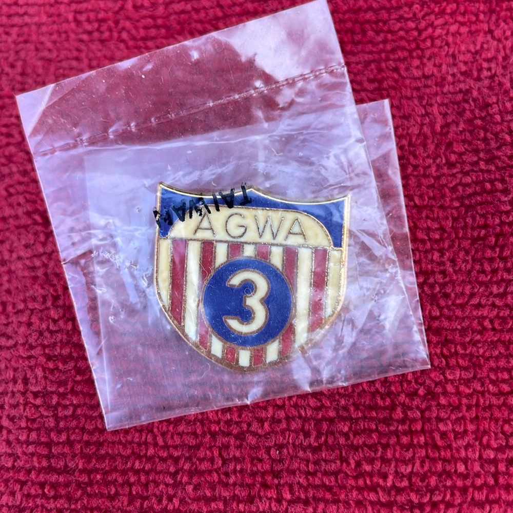 Vintage American Gold Wing Association Pin
